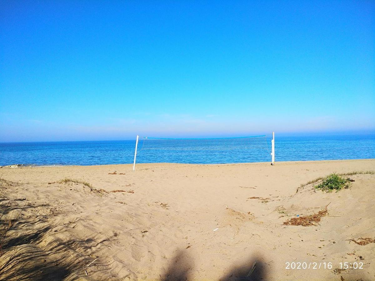Estupendo apartamento en primera línea de playa y con vistas al mar Dénia Exterior foto